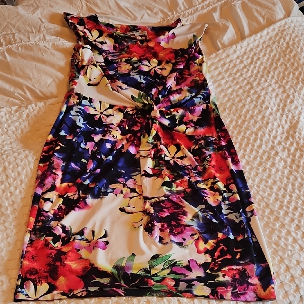 Cleo Floral Multicolor Dress Size 14